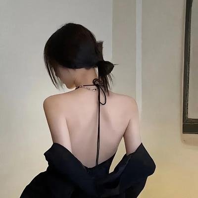 越狱第五季