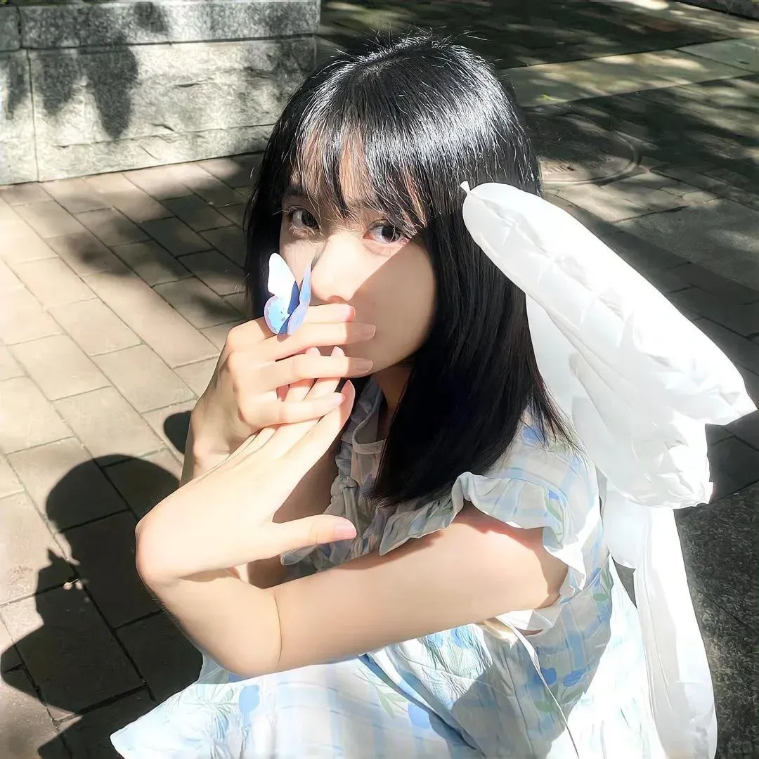 二呆流浪记之完全大人手册