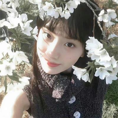 歌舞团的女人们
